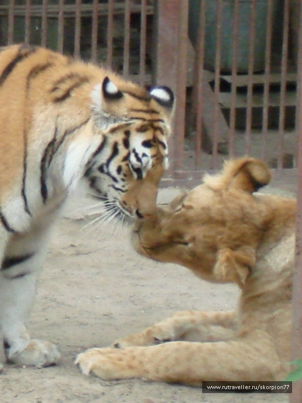 photo 920857