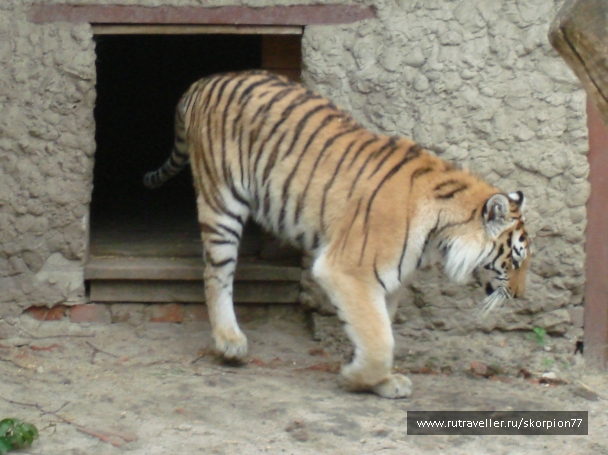 photo 920858