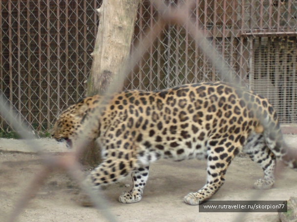 photo 920859
