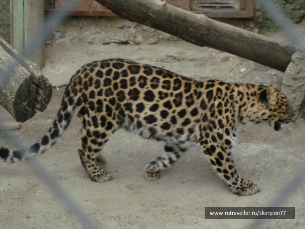 photo 920860