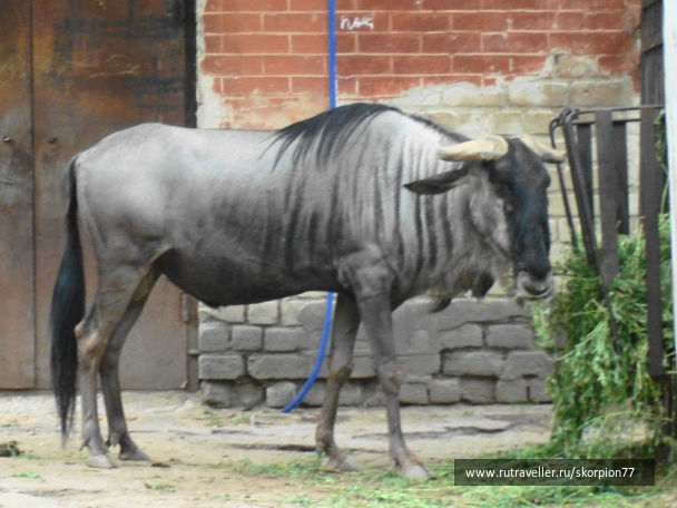 photo 920862