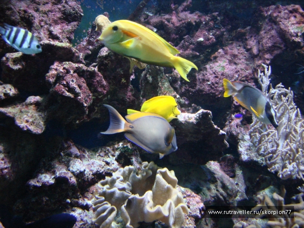 photo 927798