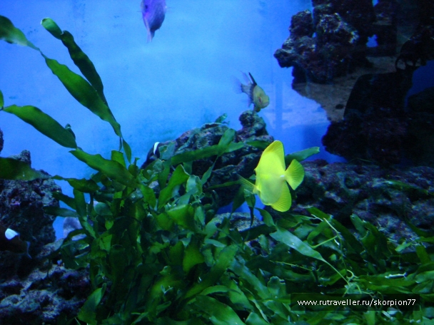 photo 927812