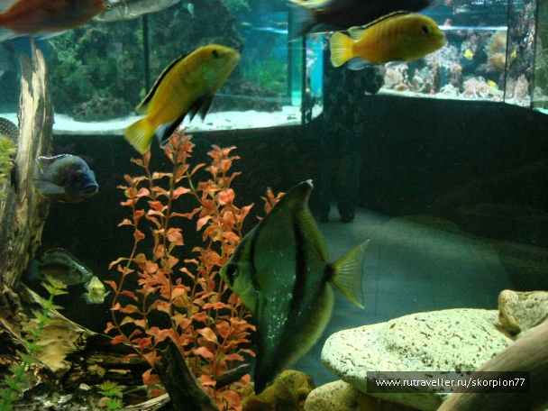 photo 927817