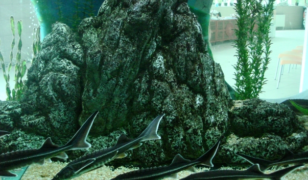 Одесса 2008 067