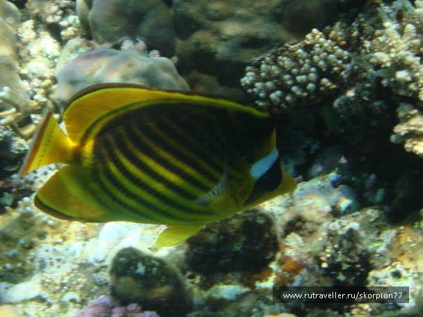photo 1622025
