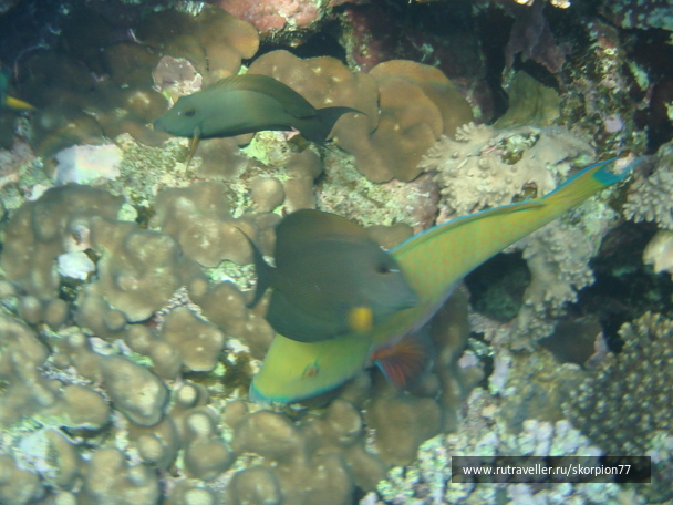 photo 1622046