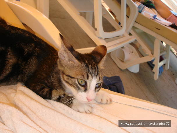 photo 546533