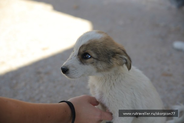 photo 550866
