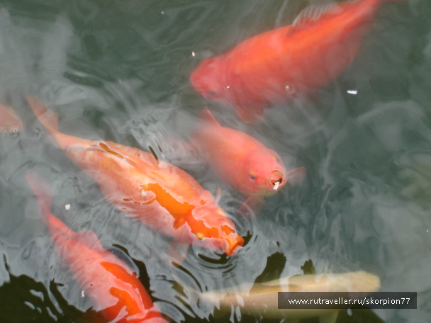 photo 553501