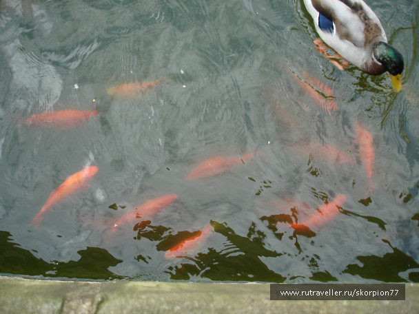 photo 553503