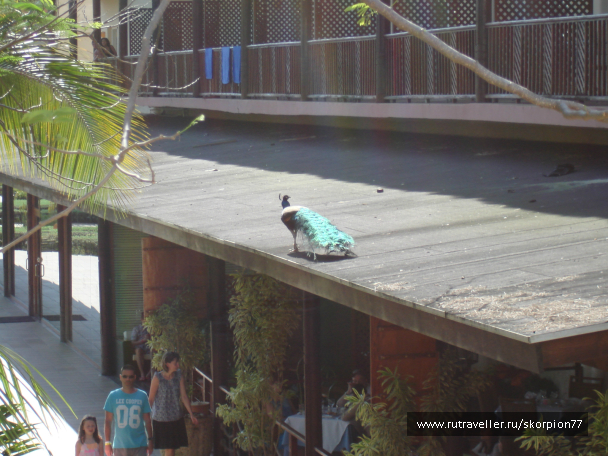 photo 696987