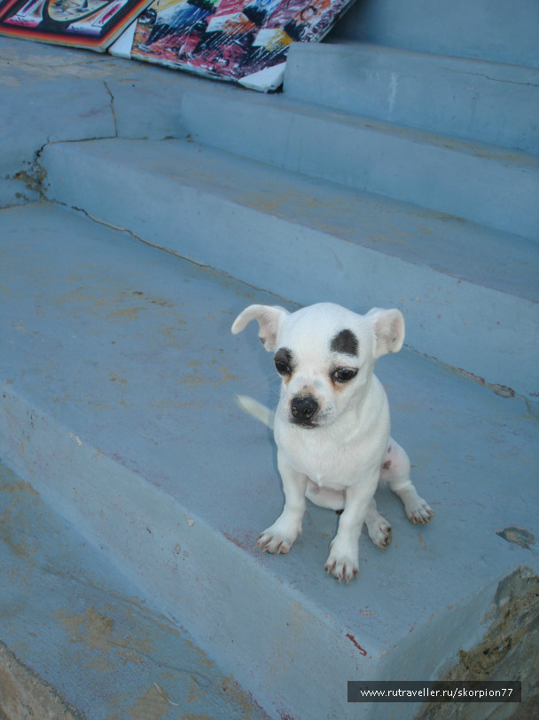 photo 697092