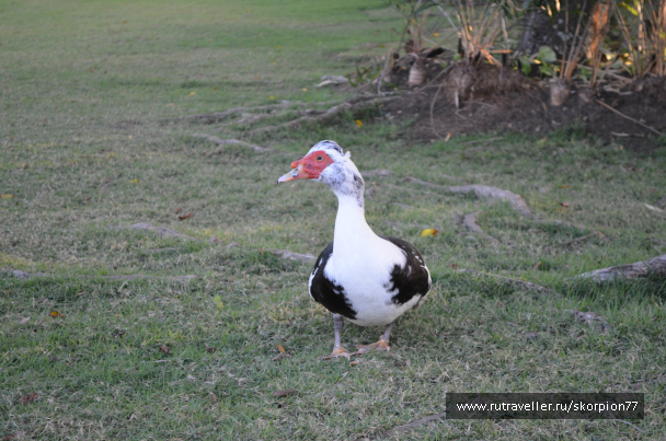 photo 722202