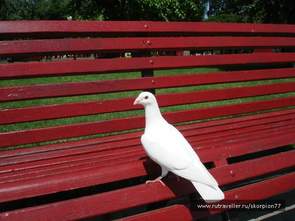 photo 761802