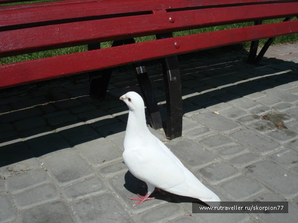 photo 761803