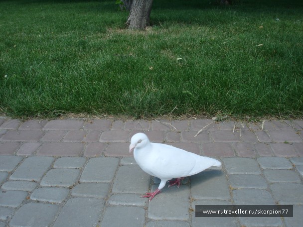 photo 761808