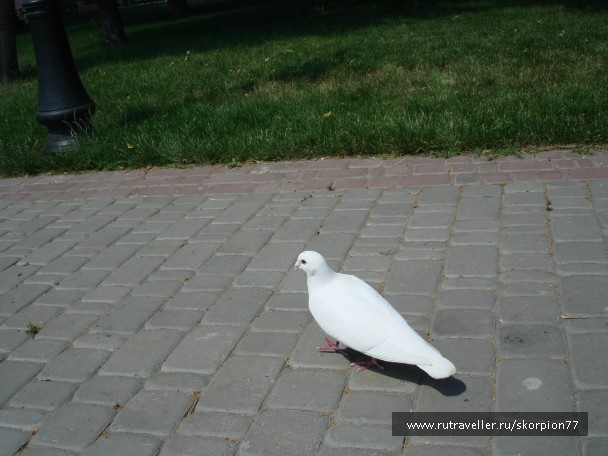 photo 761809