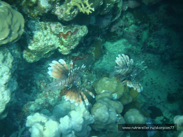 photo 826287