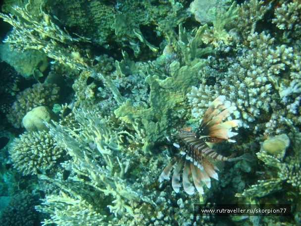 photo 867863