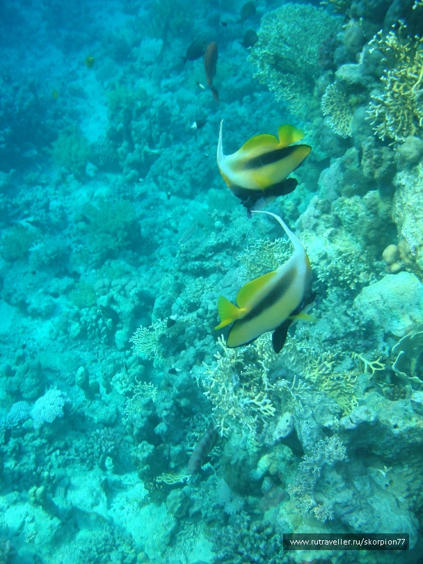 photo 867866