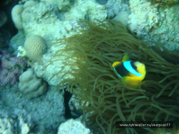 photo 868673