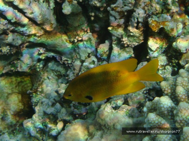 photo 868771