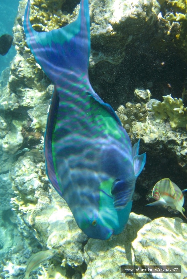photo 923792