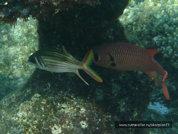 photo 944824