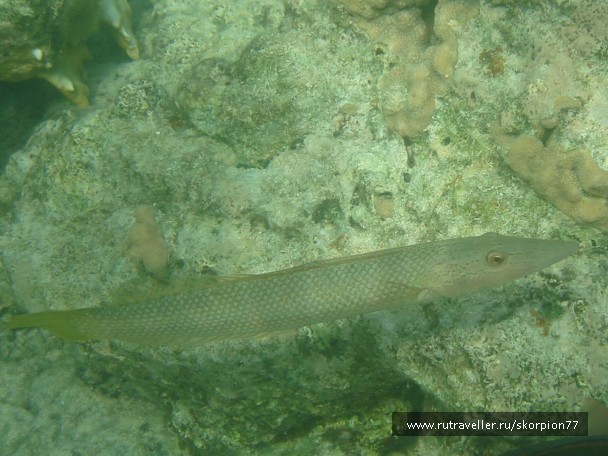 photo 944833
