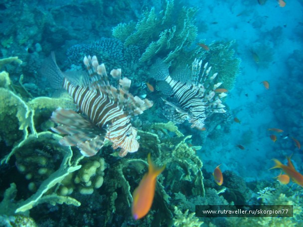photo 956171