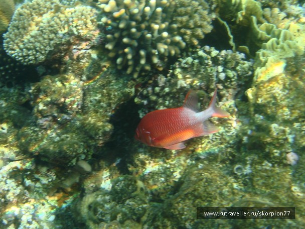 photo 956175