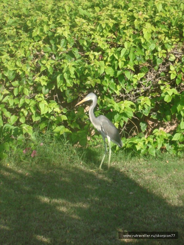 photo 956180