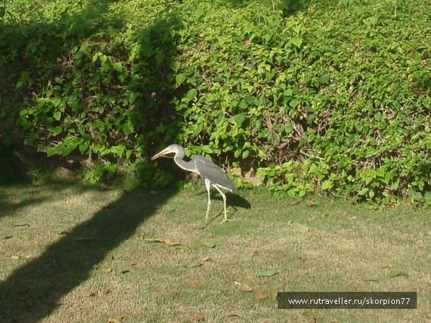 photo 956181