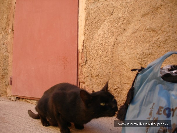 photo 968293