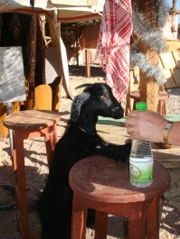 photo 969606