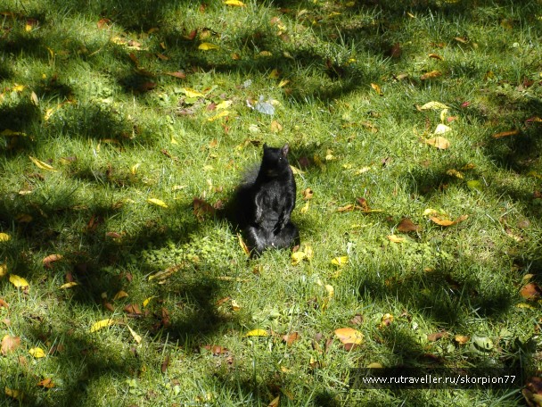 photo 838164