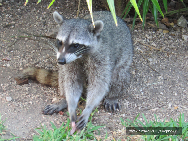photo 1625714