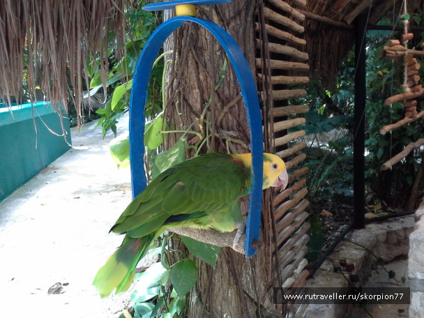 photo 1625761
