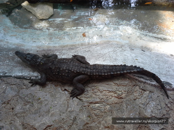 photo 1625763
