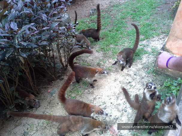 photo 1625764