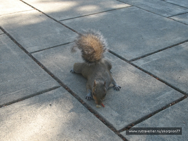 photo 869608