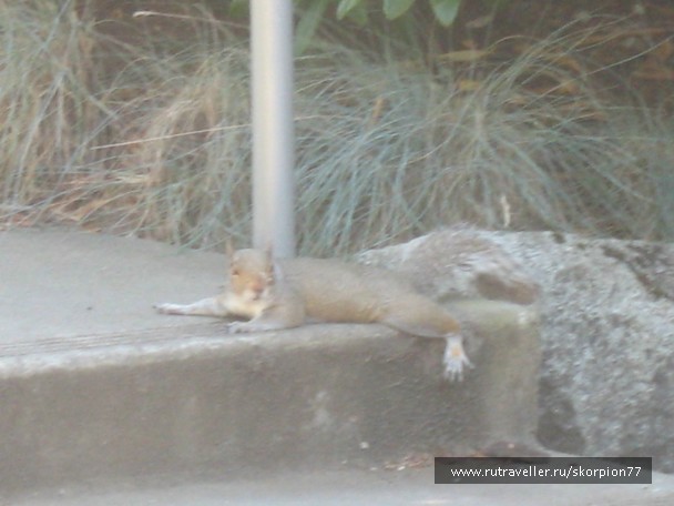 photo 869611