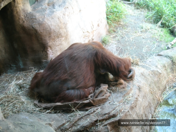 photo 869629