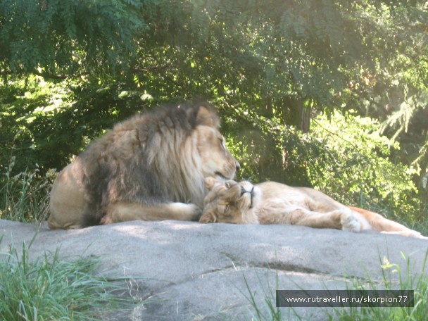 photo 869631