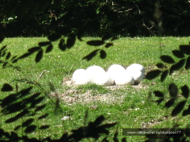photo 869632