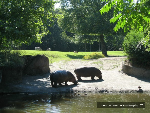 photo 869635
