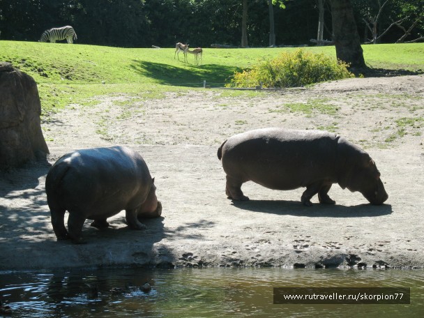 photo 869636