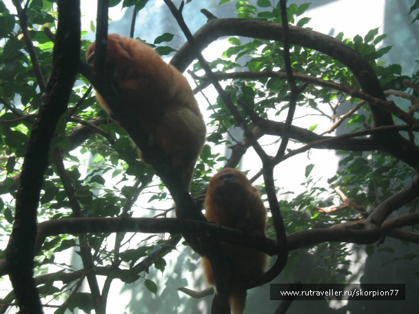 photo 869637