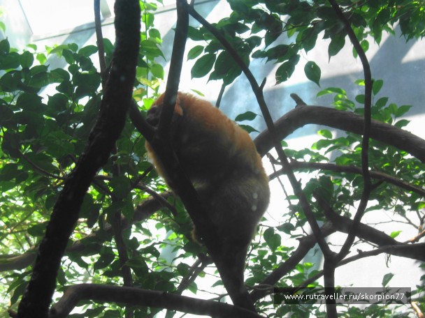 photo 869638